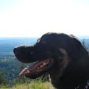 Meet your Posher, Holly